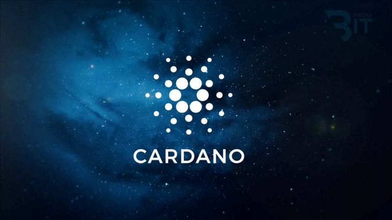 Cardano поможет развитию блокчейна в Южной Африке