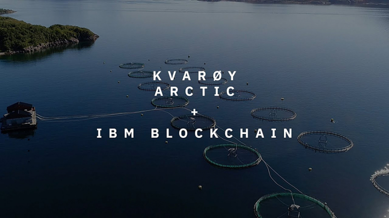 Норвежский производитель лосося Kvarøy Arctic присоединился к блокчейн-платформе IBM Food Trust