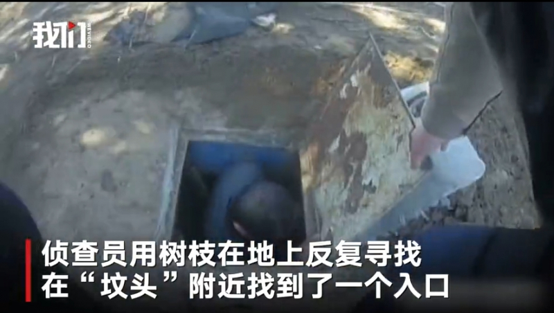 Полиция Китая обнаружила подпольные майнинг-фермы под вольерами для собак   