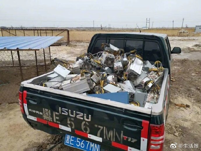 Полиция Китая обнаружила подпольные майнинг-фермы под вольерами для собак   